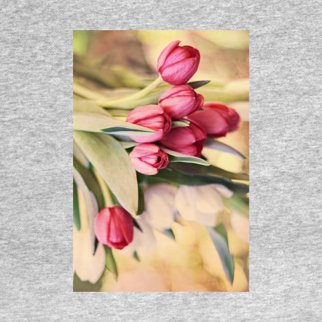 Vintage Tulips by micklyn